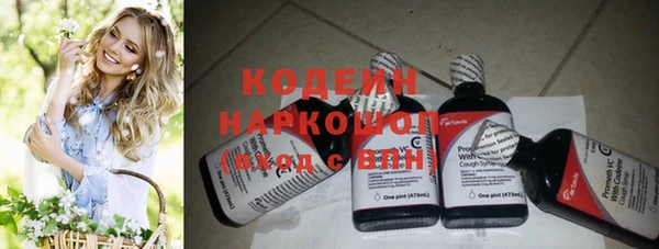 дурь Краснослободск