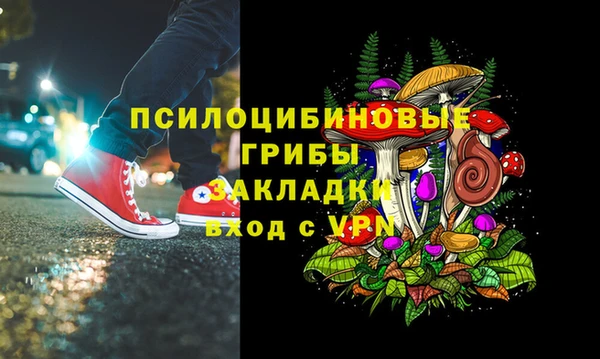 сатива Краснотурьинск