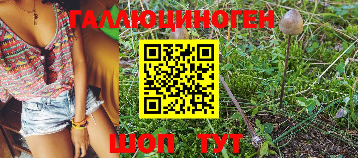 Чапаевск  Псилоцибиновые грибы Magic Shrooms  Галлюциногенные грибы мухоморы  Вход с VPN 